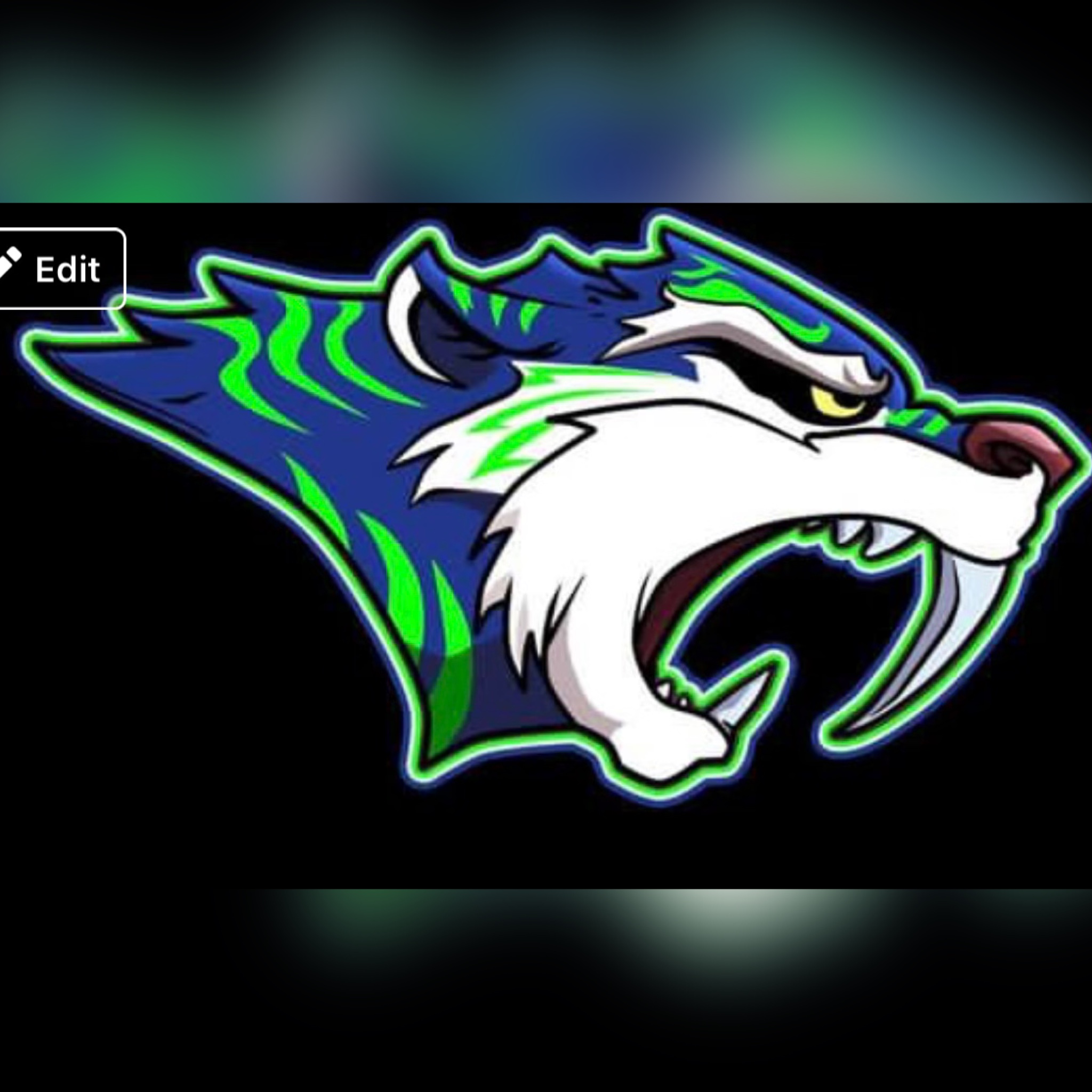 Predators Baseball Bat Grand Slam Sports Tournaments | Baseball | Oldham County Predators | 8U ...