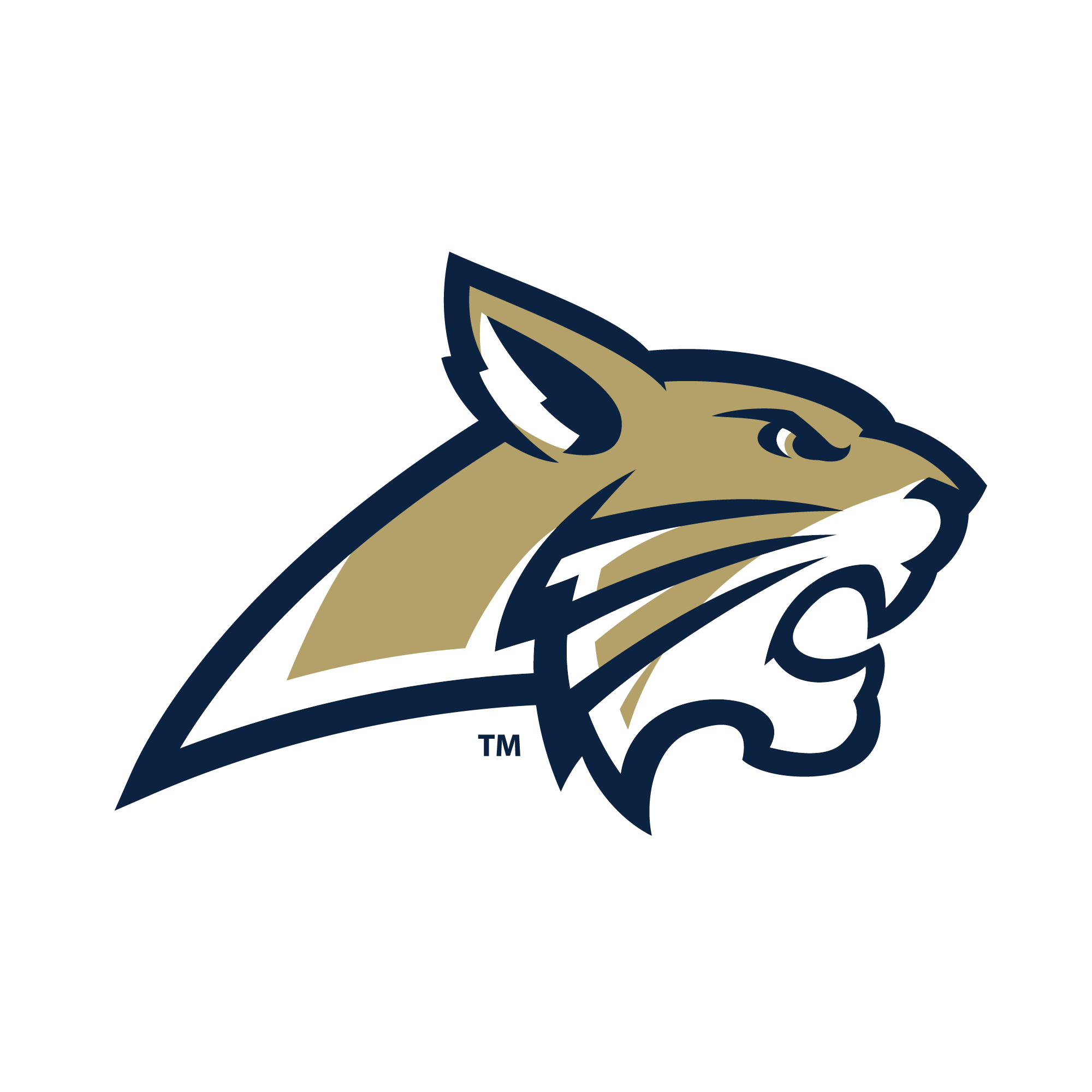 Grand Slam Sports Tournaments Baseball Apalachee Wildcats 14U 14U AA grand-slam-sports-tournaments-baseball-apalachee-wildcats-14u-14u-aa